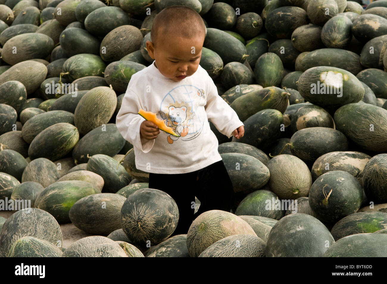 Allein mit seiner Melonen. Stockfoto