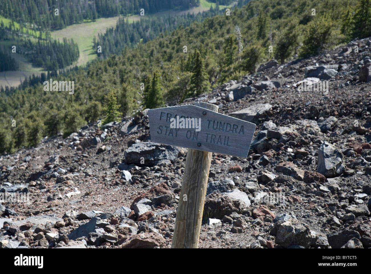 Ein Schild warnt Wanderer bleiben auf der Spur und aus der zerbrechlichen Tundra auf Humphreys Peak, in der Nähe von Flagstaff, Arizona, USA Stockfoto