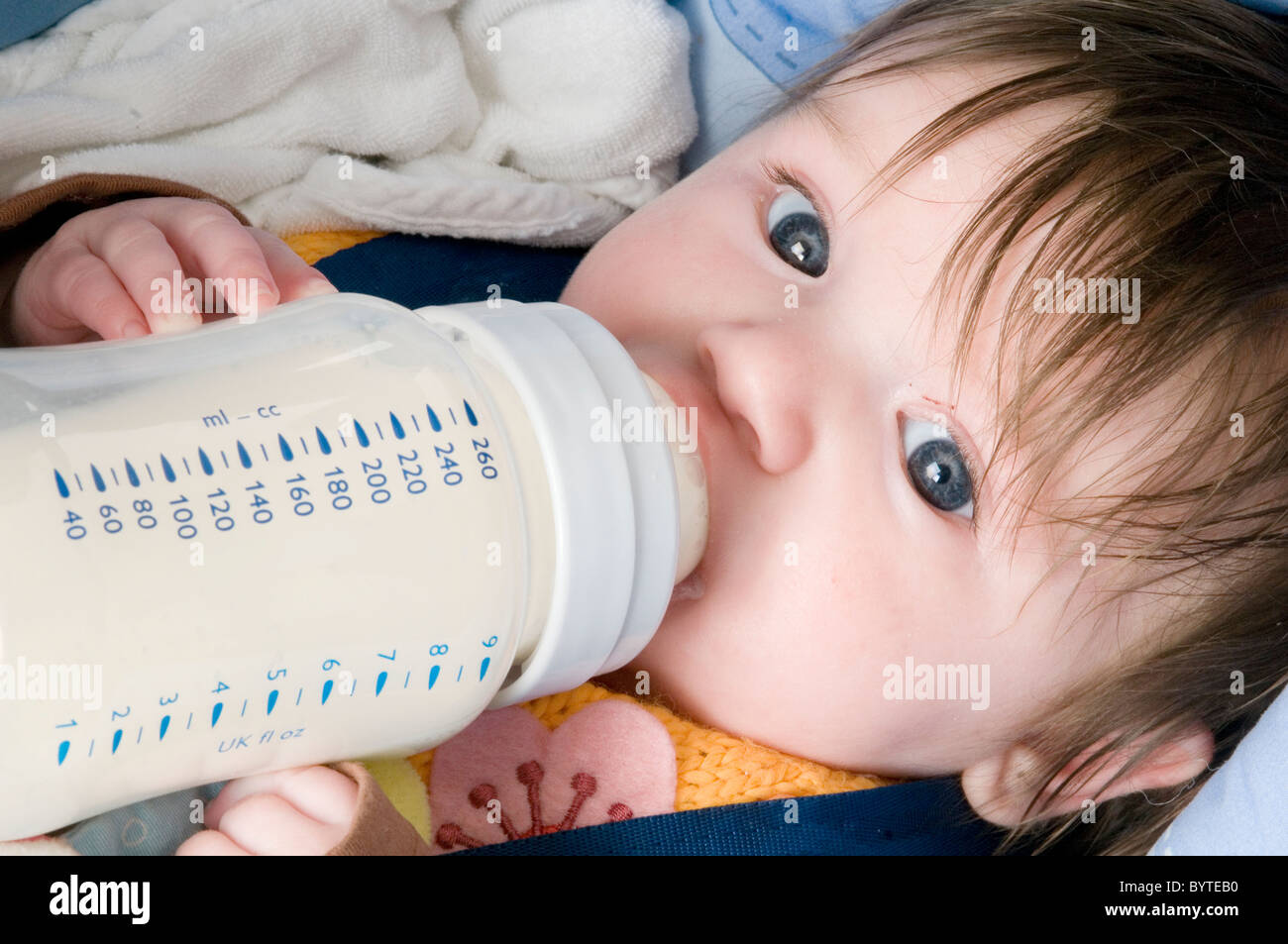 Baby Flasche Fläschchen füttern Konsummilch aus trinken essen essen Babys Feeds neue Kühe Pulver Formel trinken Milch Translation- Stockfoto