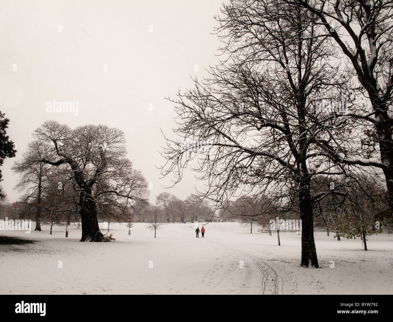 Greenwich Park in London nach voller Schnee Stockfoto