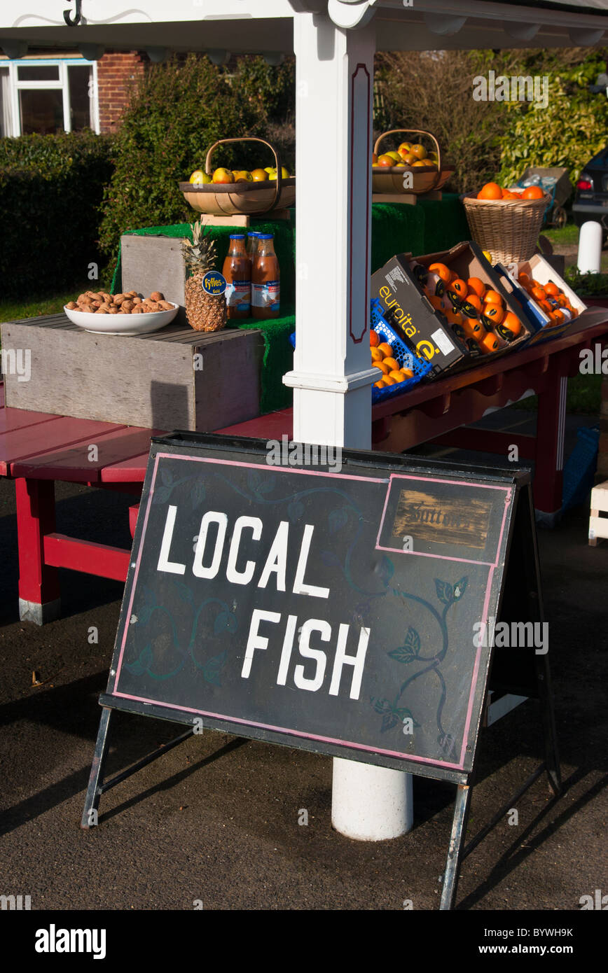 Fisch-Zeichen vor einem Geschäft Stockfoto