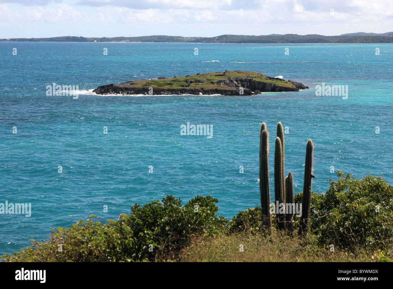 Blick nach Süden von Great Bird Island in Richtung Antigua und der Hölle tor Insel mit türkisfarbenen Meer, Kerze Kaktus und scrub Vegetation. Stockfoto