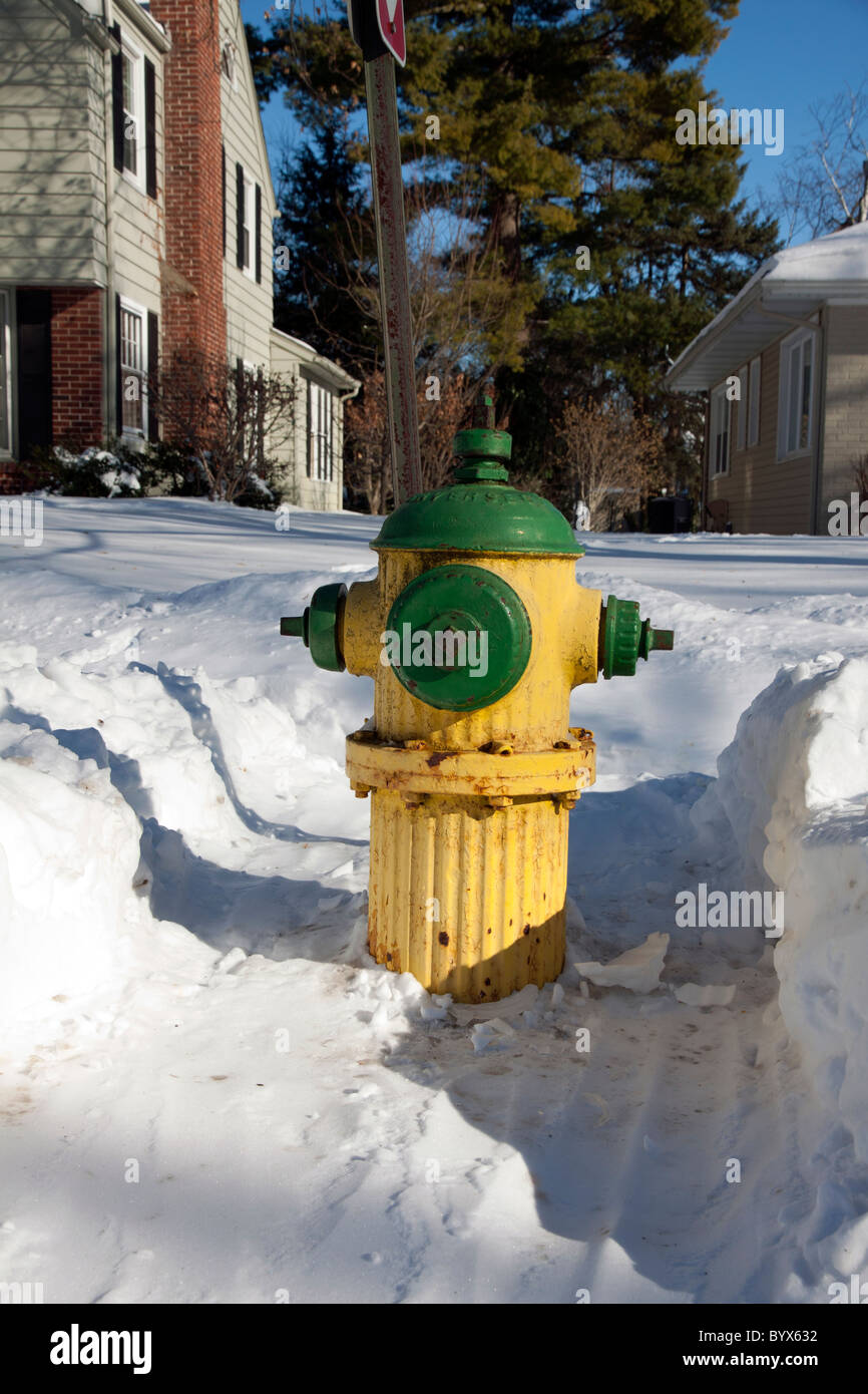 Brandhydrant vor kurzem von Schnee freigeräumt Kalamazoo Michigan USA, von James D Coppinger/Dembinsky Photo Assoc Stockfoto