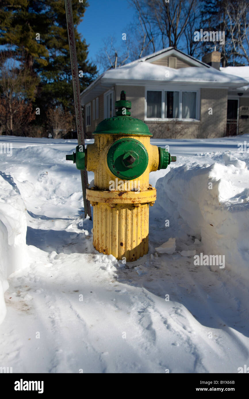 Brandhydrant vor kurzem von Schnee freigeräumt Kalamazoo Michigan USA, von James D Coppinger/Dembinsky Photo Assoc Stockfoto