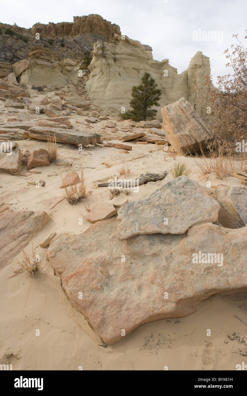 Felsformationen in Sandwüste, Kuba, New Mexico, USA Stockfoto