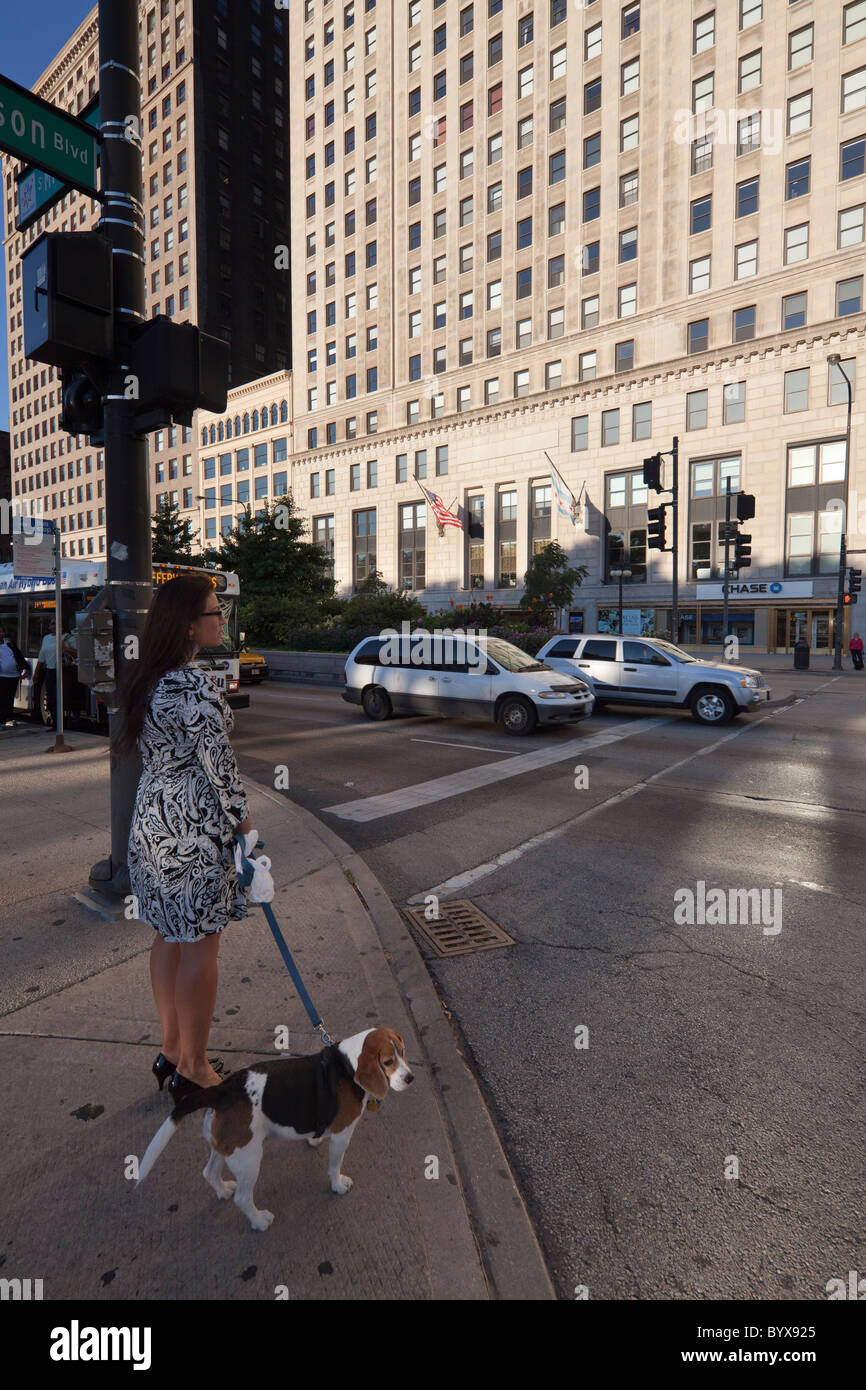 stilvolle Frau mit Hund warten an der Ampel, Michigan Avenue, Chicago, USA Stockfoto