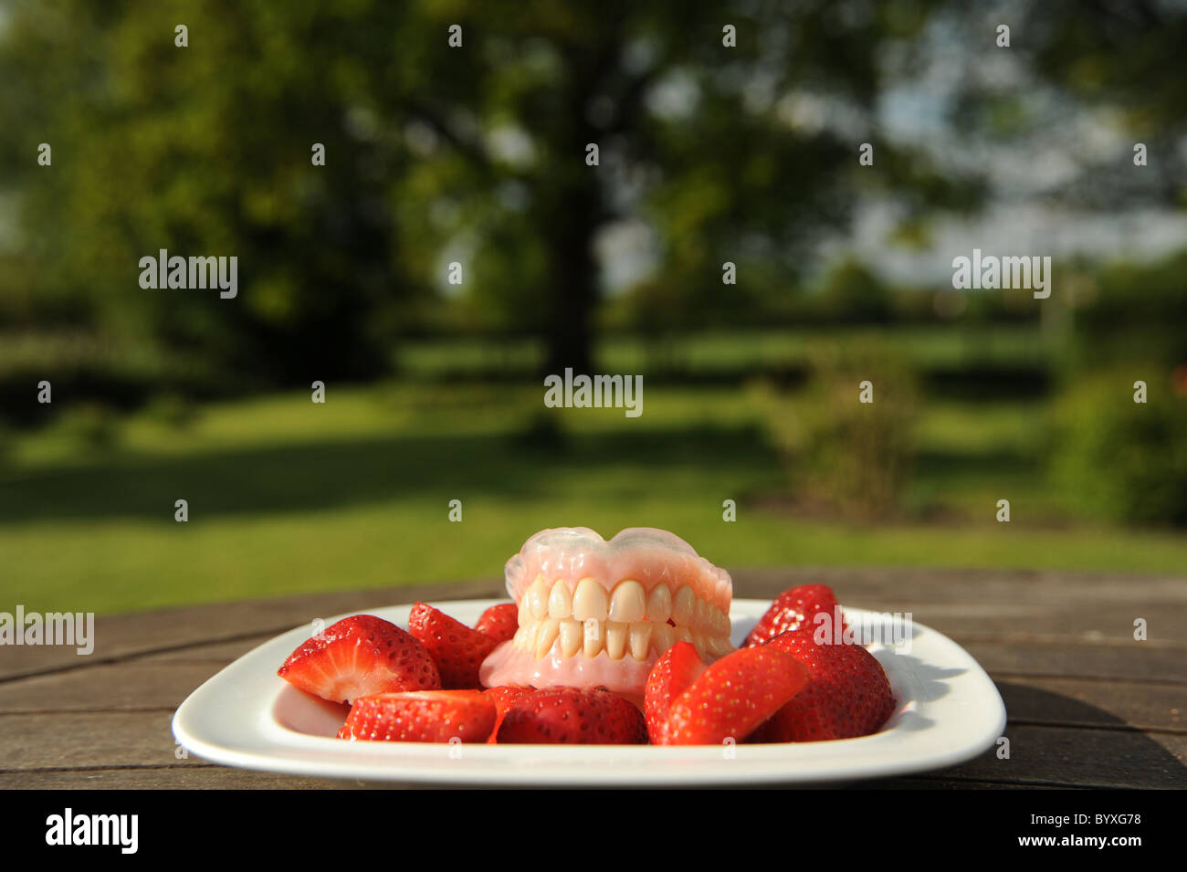 Zahnersatz und Erdbeeren Stockfoto