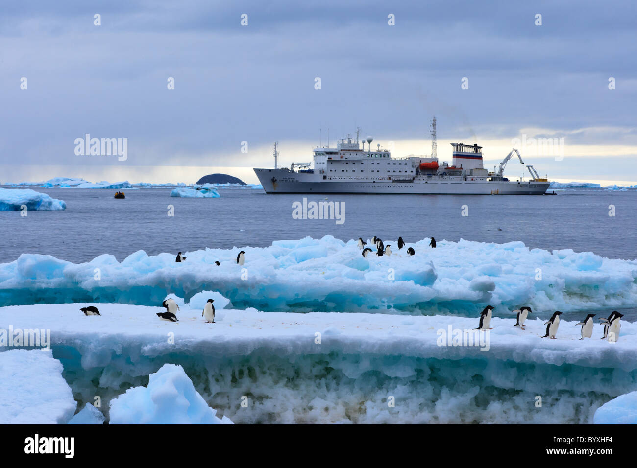 Blick auf touristischen Schiff von Paulet Island mit Adelie-Pinguine im Vordergrund, antarktische Halbinsel Stockfoto