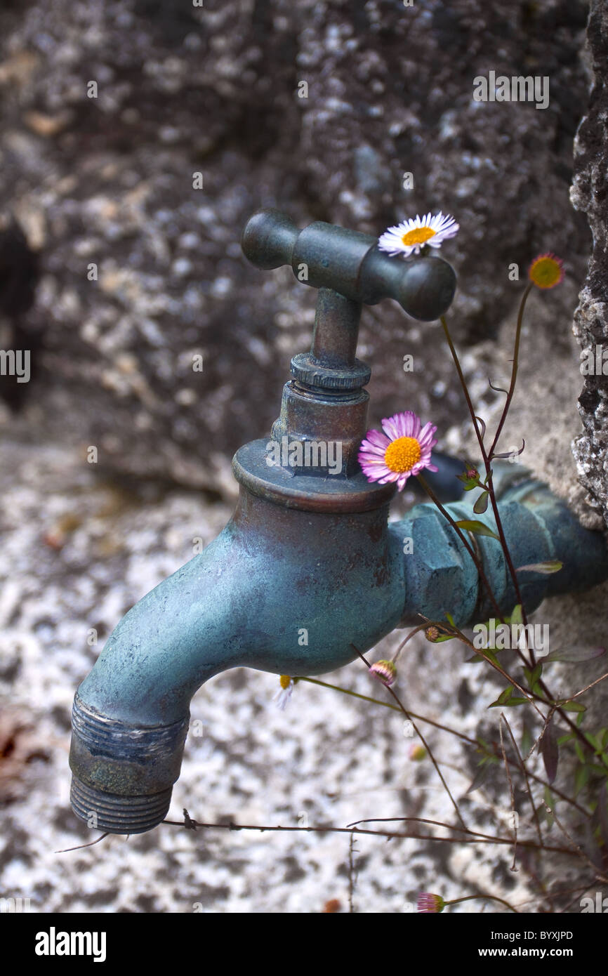 Garten Wasserhahn Stockfoto