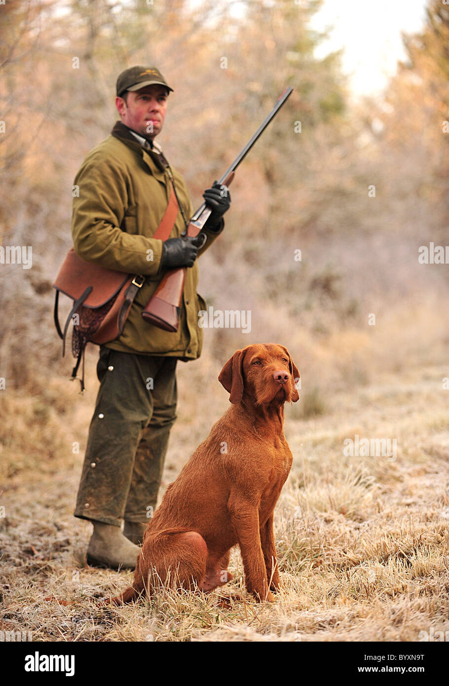 Jäger mit seinem ungarischen Drahthaar Vizsla Hund UK Stockfoto