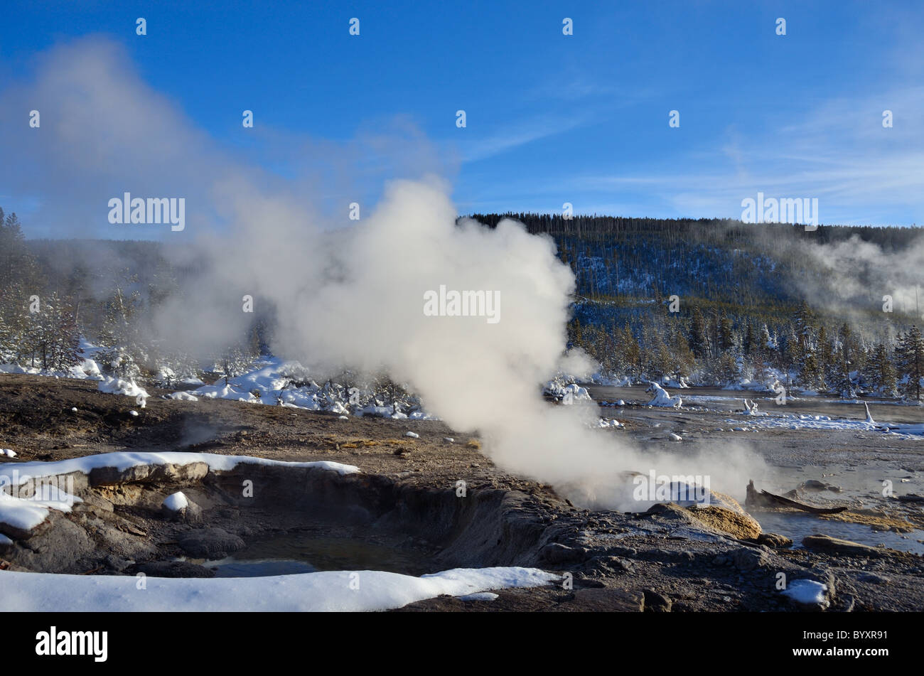 Dampf steigt aus heißen Quellen. Norris Geyser Basin, Yellowstone-Nationalpark, Wyoming, USA. Stockfoto