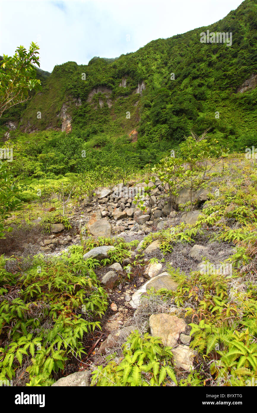 Krater von St. Kitts Stockfoto