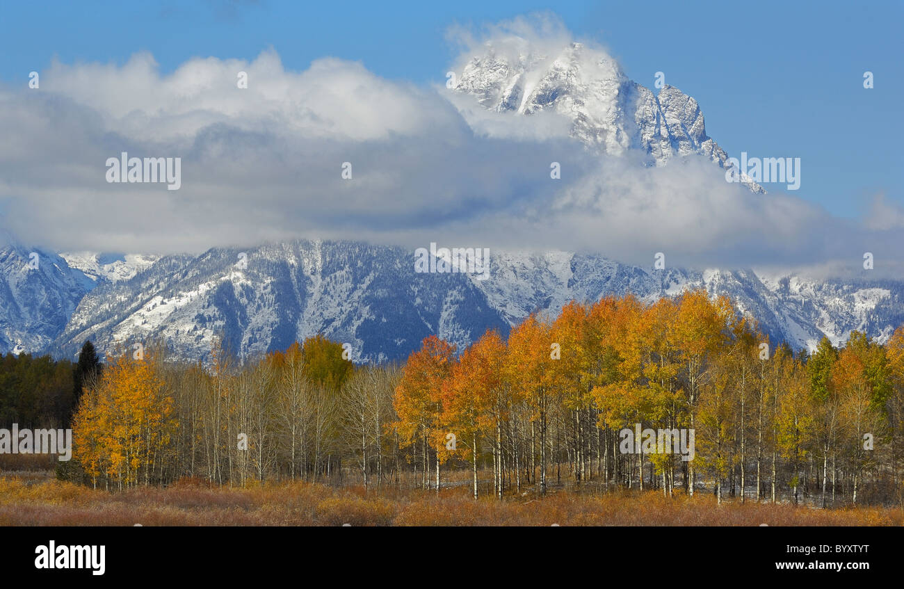 Grand Teton im Herbst. Stockfoto