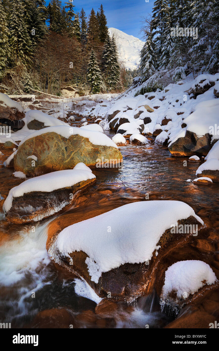 Kautz Creek im Mount Rainier National Park, sehen Sie hier im winter Stockfoto