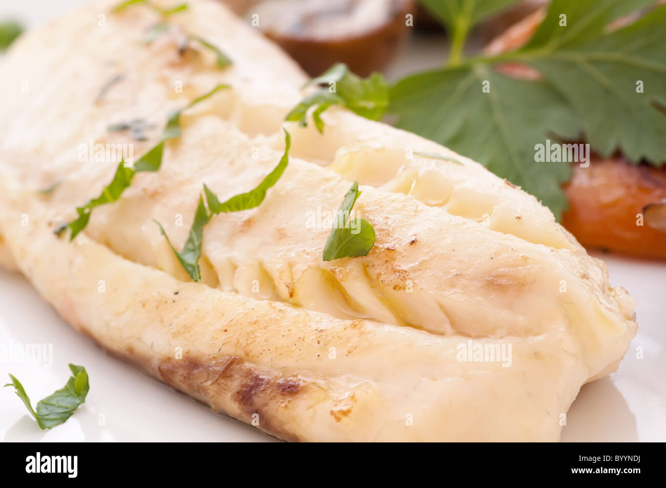 Tilapiini-Filet mit Gemüse als Closeup auf einem weißen Teller Stockfoto