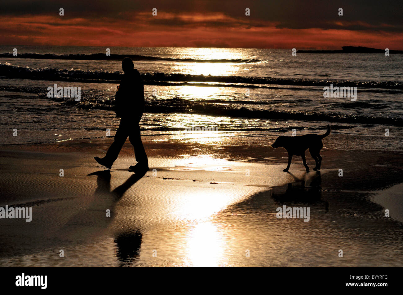 Portugal, Algarve: Mensch und Hund an der Praia do Amado Stockfoto