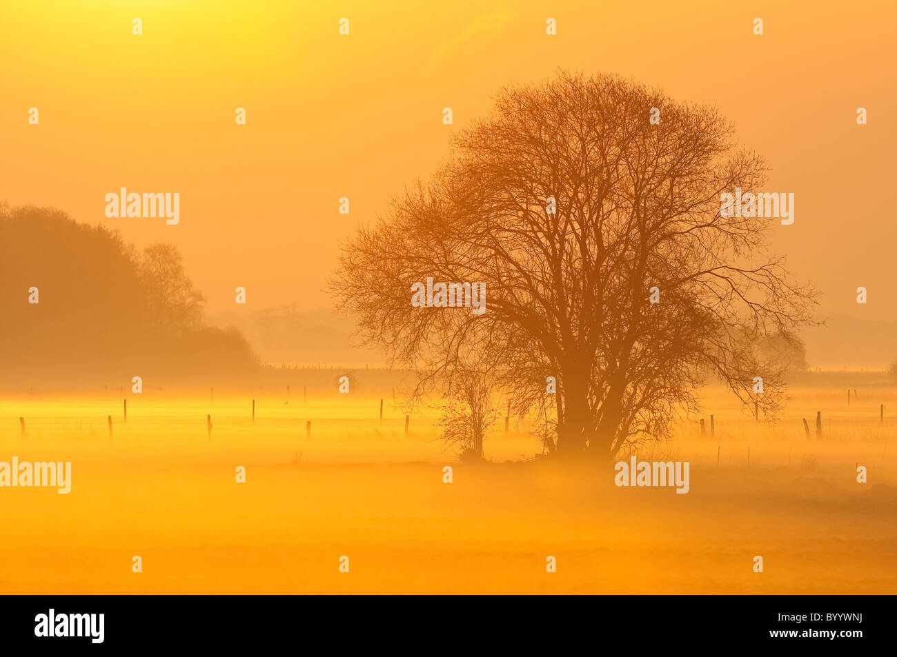 Morgennebel, verträumte Landschaft Stockfoto
