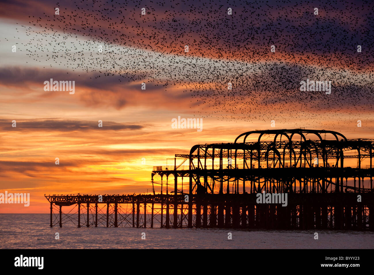 Die Ruinen der West Pier, Brighton. Stockfoto