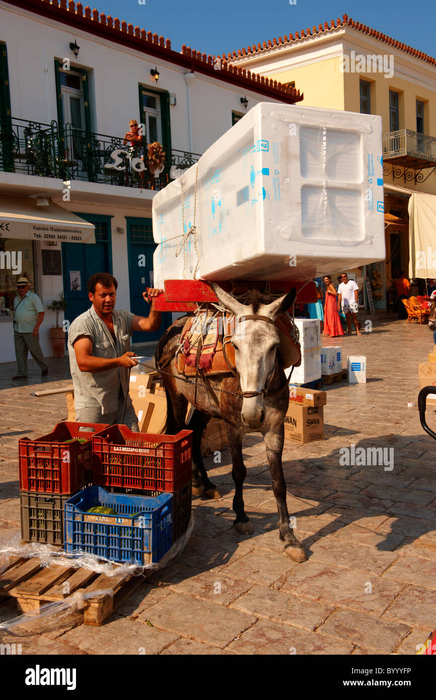 Pack Pony bewegt einen Kühlschrank auf Hydra, griechischen Saronischen Inseln Stockfoto