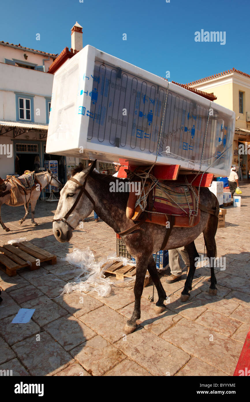 Pack Pony bewegt einen Kühlschrank auf Hydra, griechischen Saronischen Inseln Stockfoto