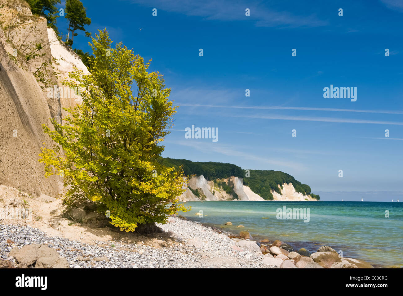 Nationalpark Jasmund Ostsee Rügen Kreidefelsen Stockfoto
