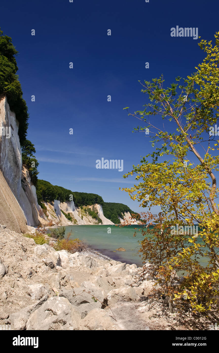 Insel Rügen, Ostdeutschland, Ostsee, Küste mit den berühmten Kreidefelsen Stockfoto