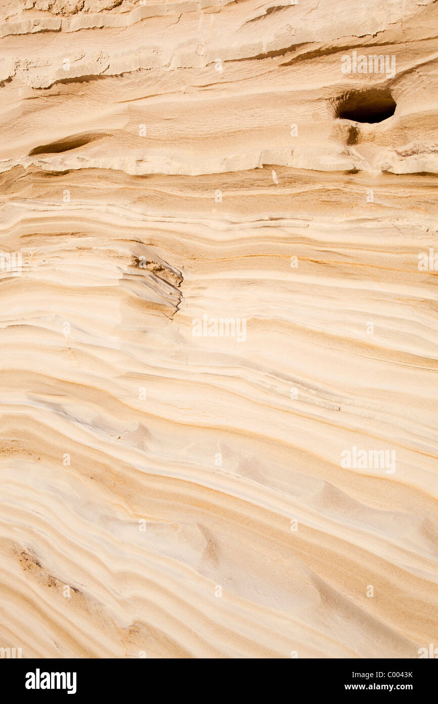 Querschnitt (Schichten) des Bodens in einem sandigen Kamm, durch die Eiszeit gebildet, Finnland Stockfoto