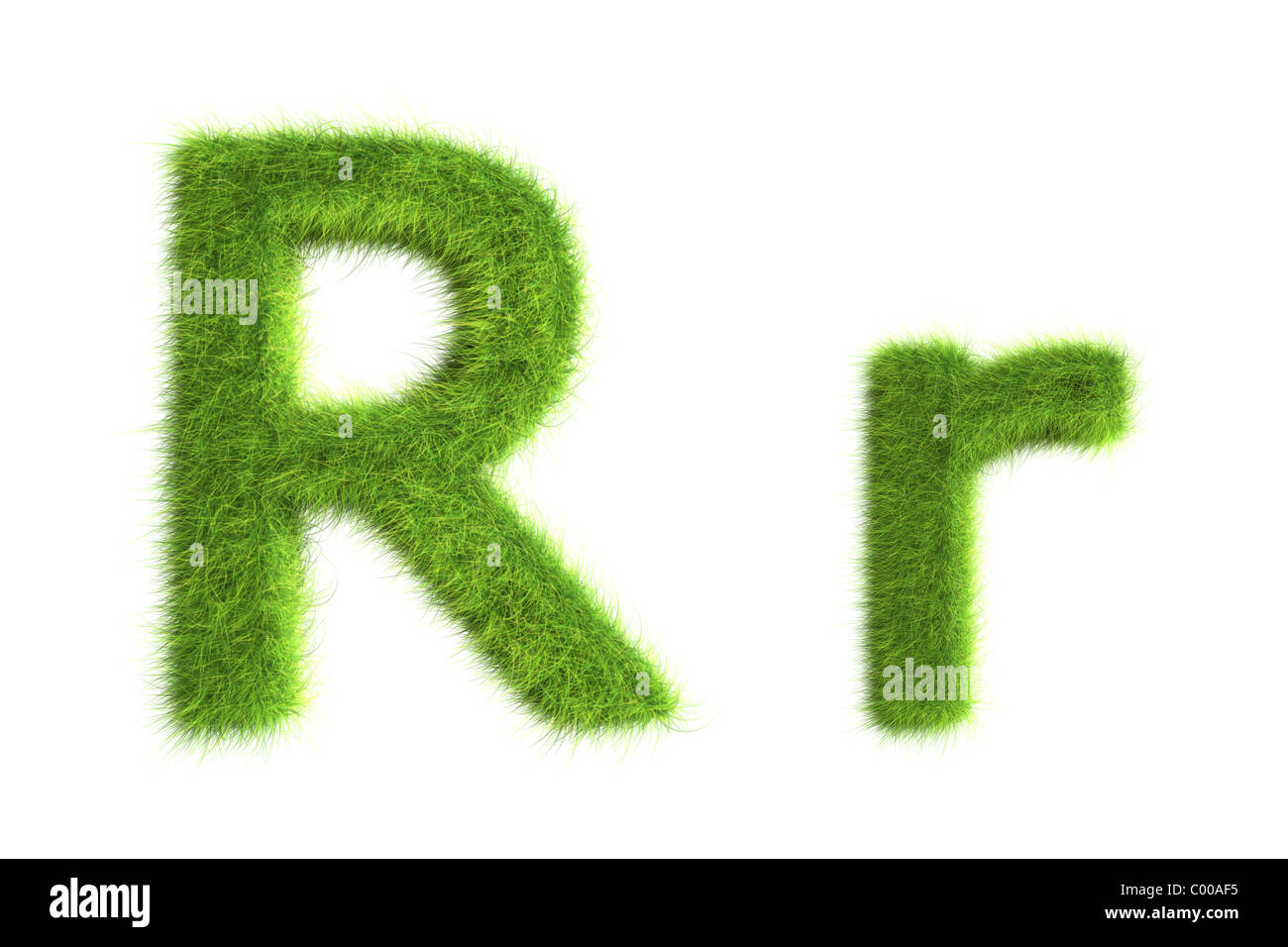 Grass Buchstaben Majuskeln und Minuskeln Stockfoto