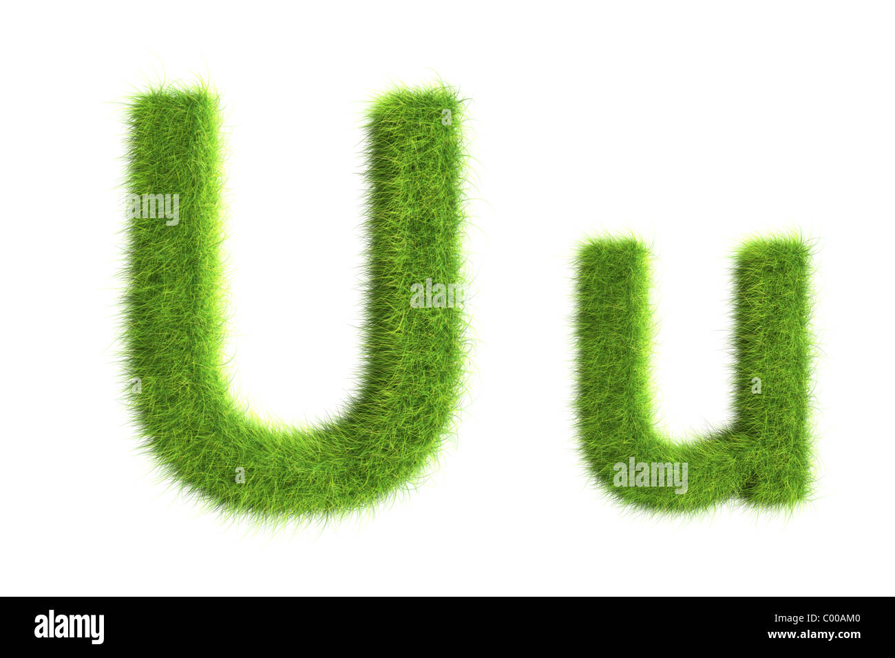 Grass Buchstaben Majuskeln und Minuskeln Stockfoto
