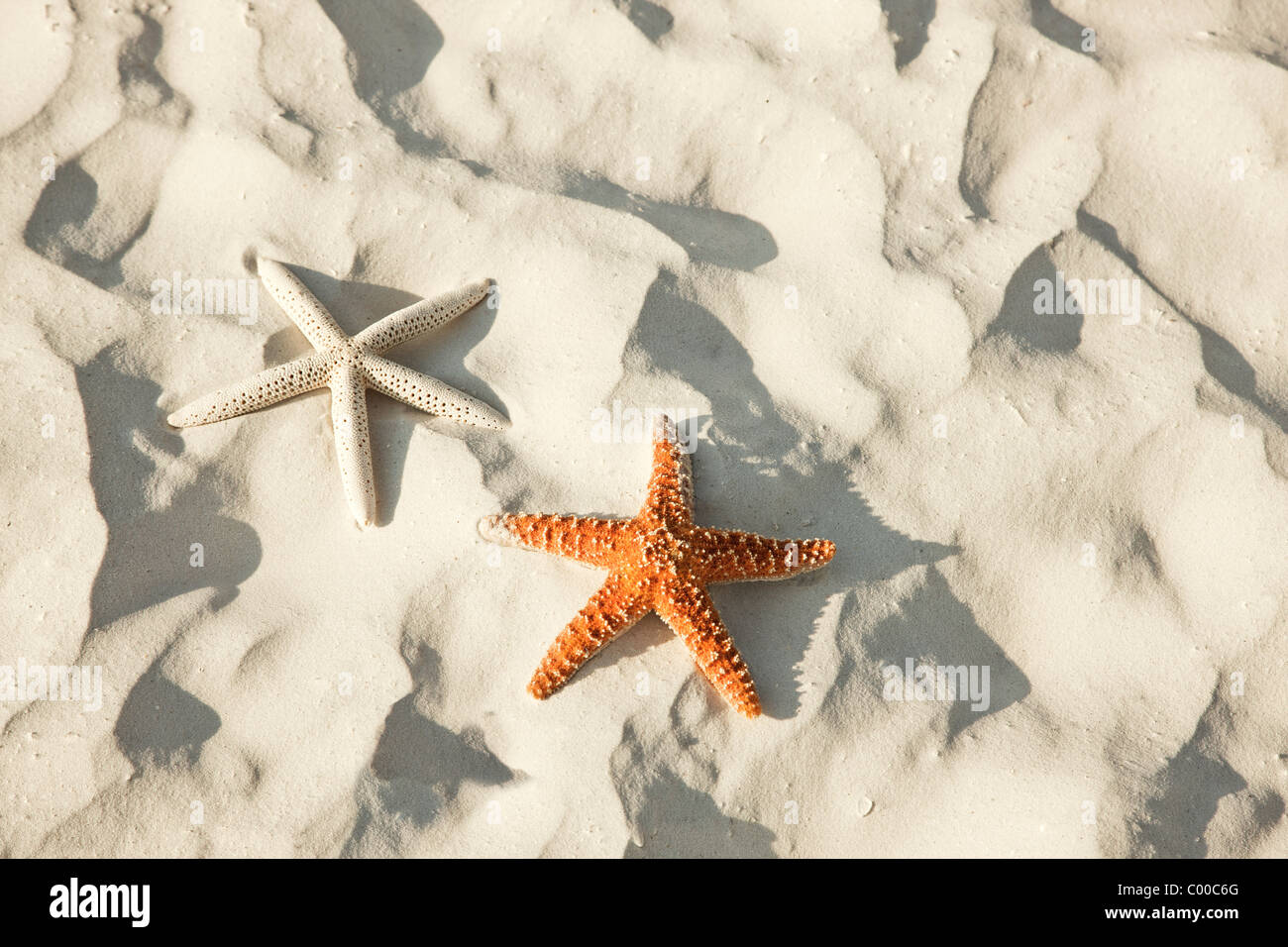 Schönen Sommer Urlaub Strand Hintergrund mit Textfreiraum Stockfoto