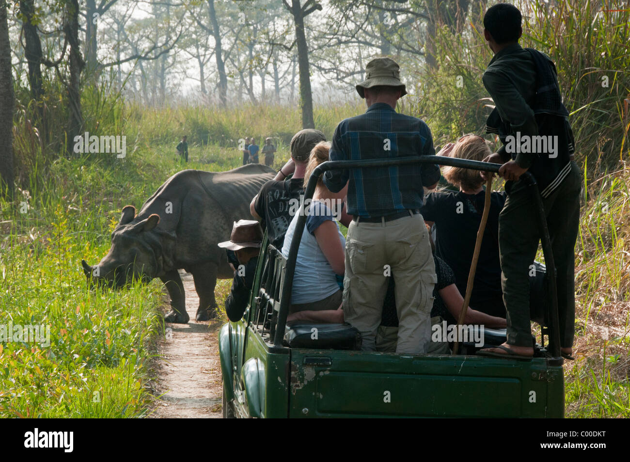 Touristen, die gerade einen gehörnten asiatischen Nashörner in Chitwan Nationalpark, Nepal Stockfoto