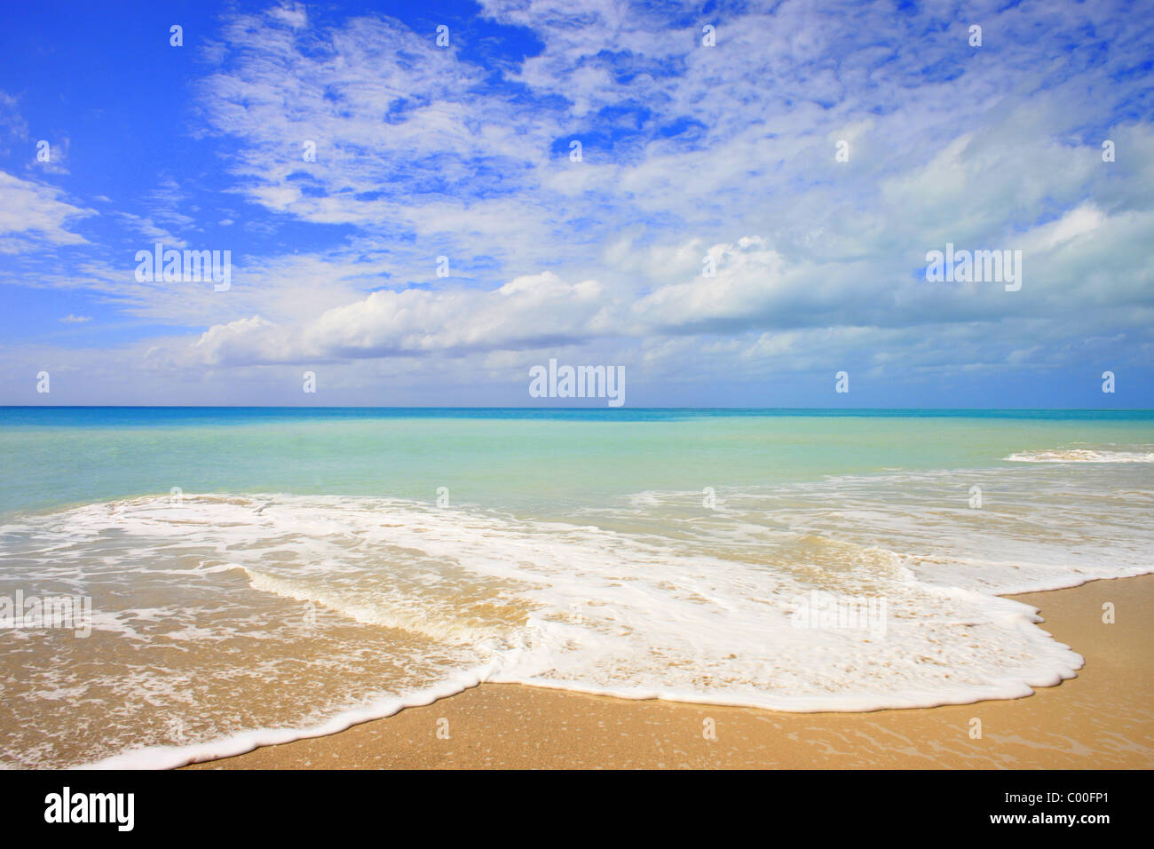 Einem wunderschönen einsamen Strand in Antigua, West Indies Stockfoto