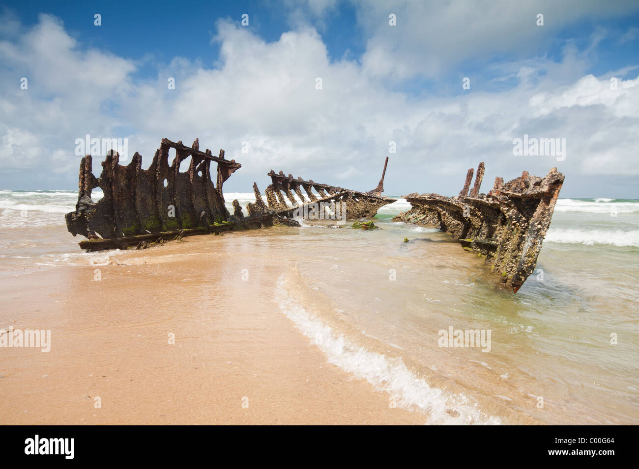 Wrack am australischen Strand während des Tages (dicky Beach, Queensland) mit interessanten Wolkenbildung im Hintergrund Stockfoto