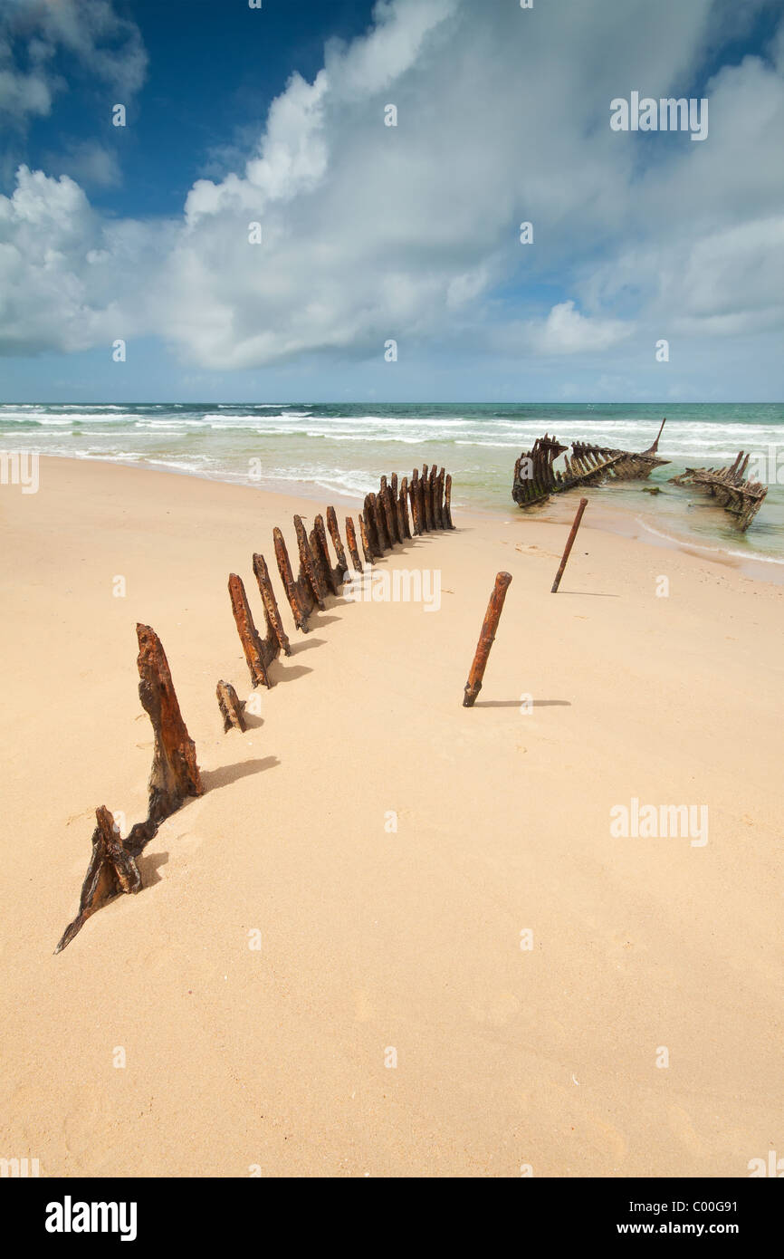 Wrack am australischen Strand während des Tages (dicky Beach, Queensland) mit interessanten Wolkenbildung im Hintergrund Stockfoto