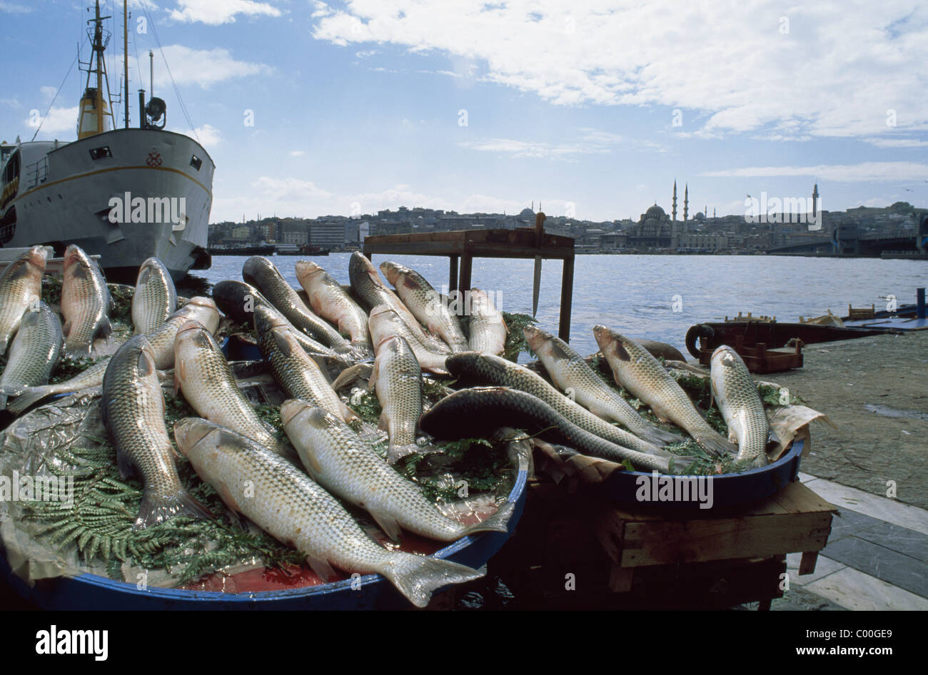 Fisch-stall Stockfoto