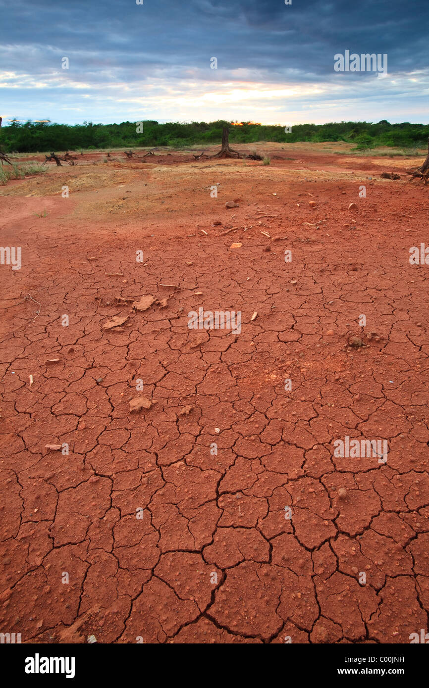 Rissigen Boden in Sarigua Nationalpark, Herrera Provinz, Republik von Panama. Stockfoto