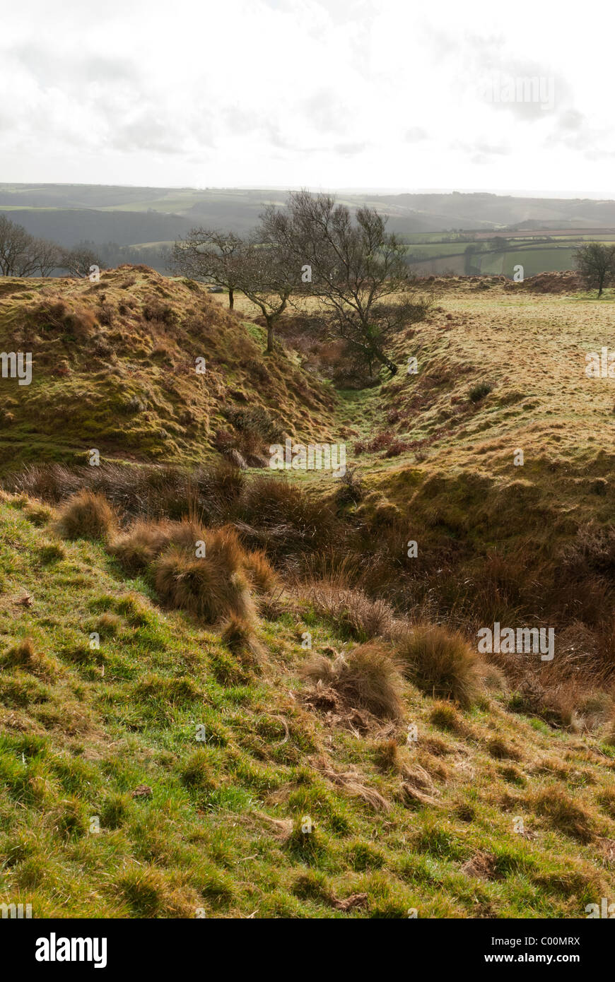 Blackdown Ringe sind die Reste einer prähistorischen Burgberg in Devon, Südwestengland Stockfoto