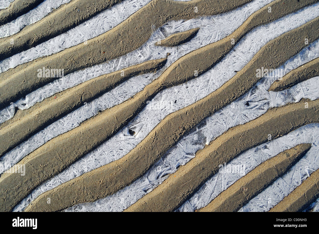 Muster von Sand Wellen und Eis am Strand bei Frost im Winter, Niederlande Stockfoto