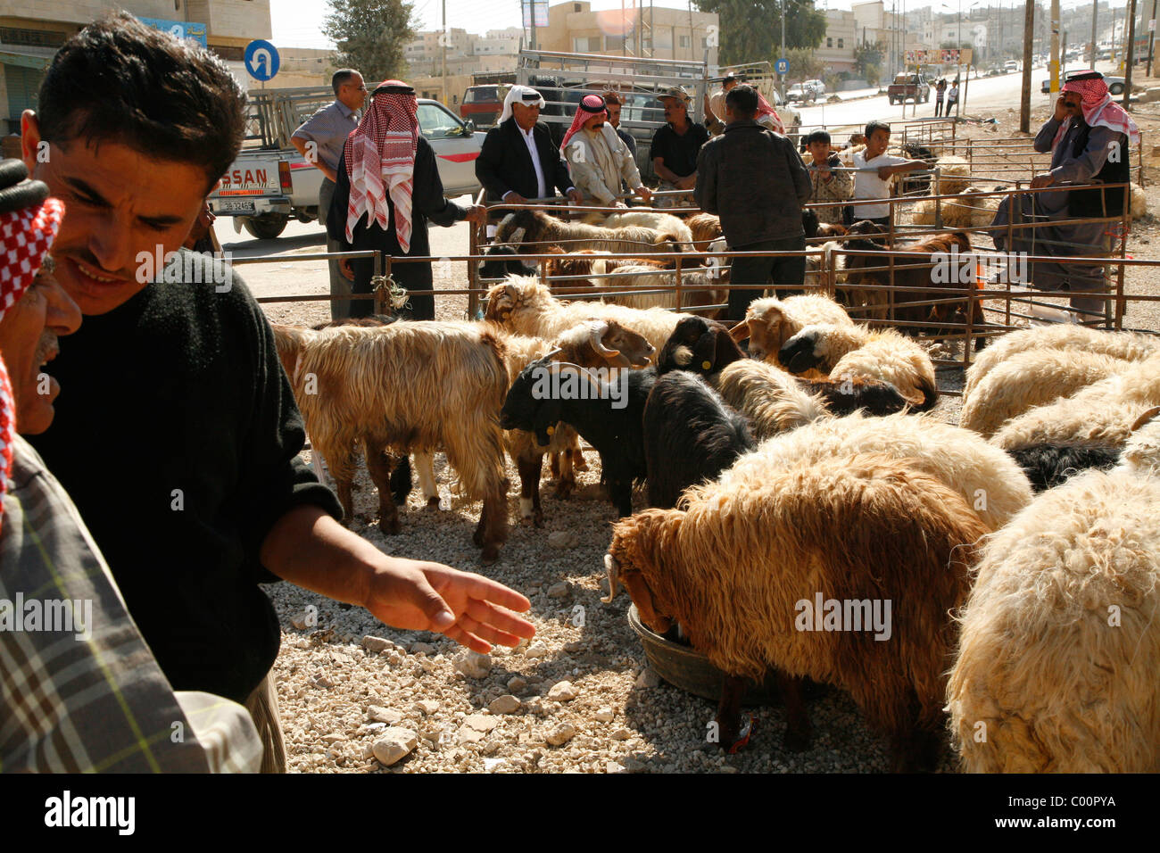 Männer in einem Dorf in der Nähe von Karak verhandeln Kauf Ziegen und Schafe vor dem Eid Urlaub, Jordanien. Stockfoto