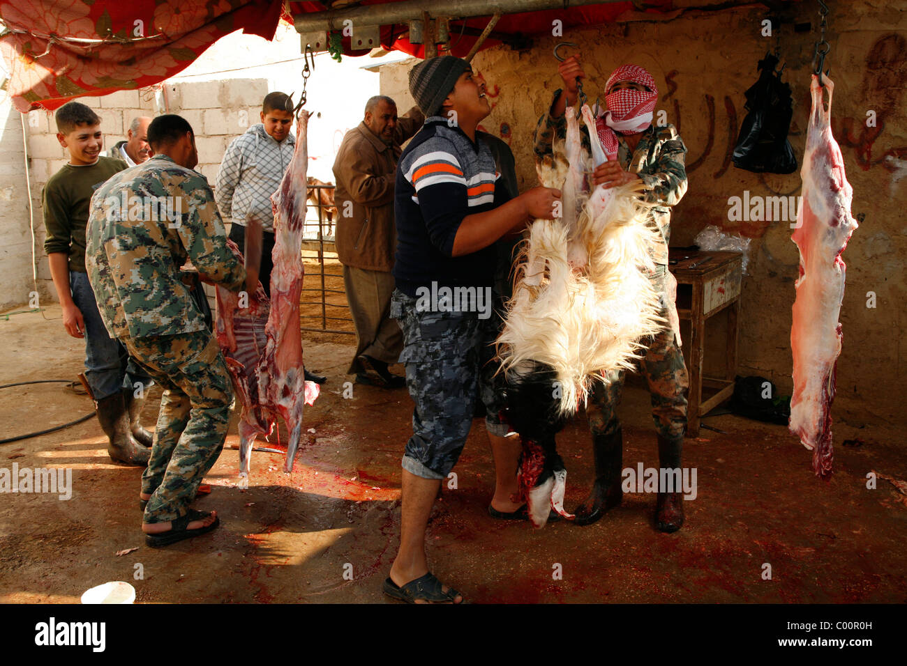 Schlachten von Ziegen für den Eid feiern, Jordanien. Stockfoto
