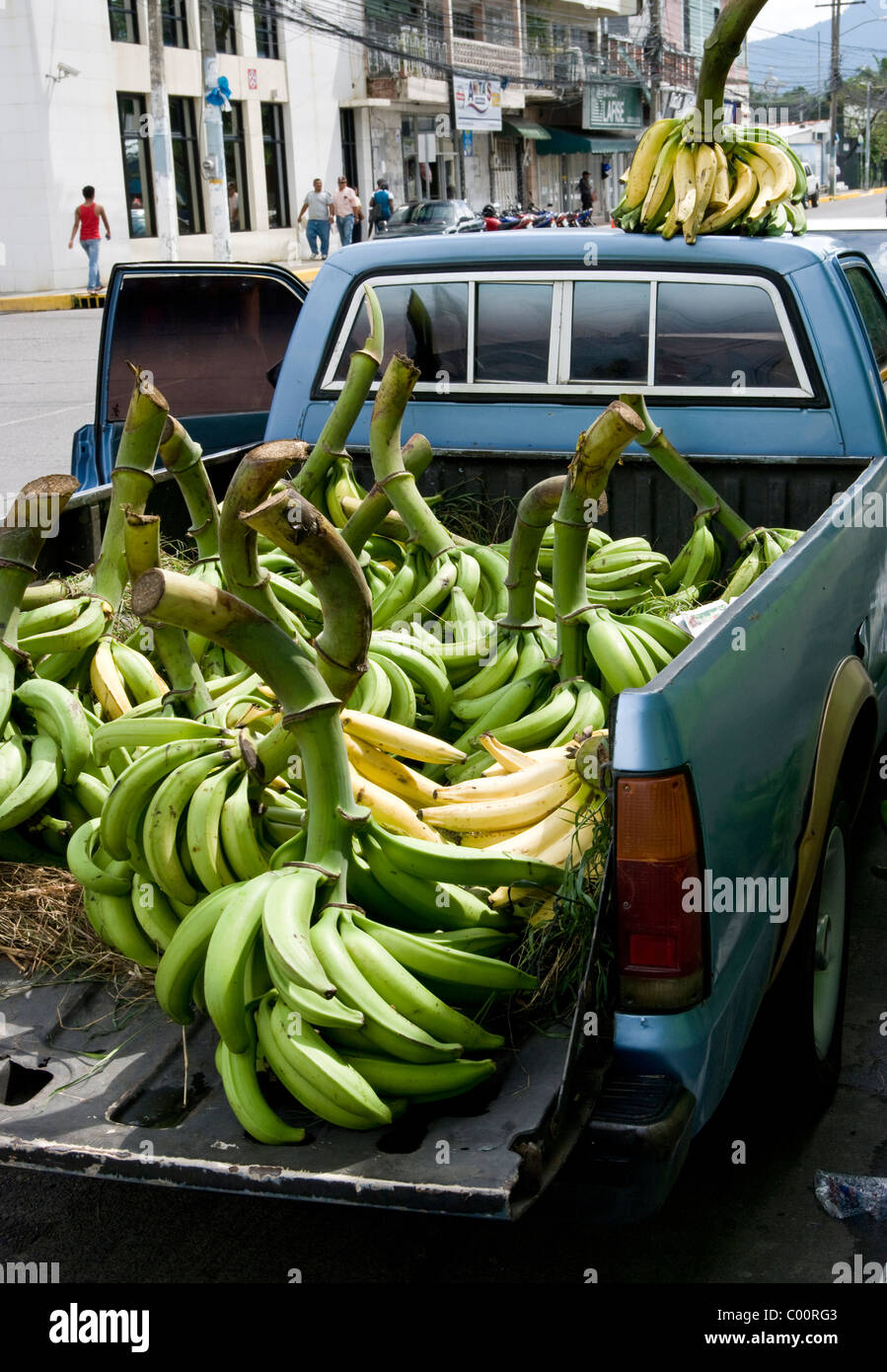 Honduras. Bananen. Stockfoto
