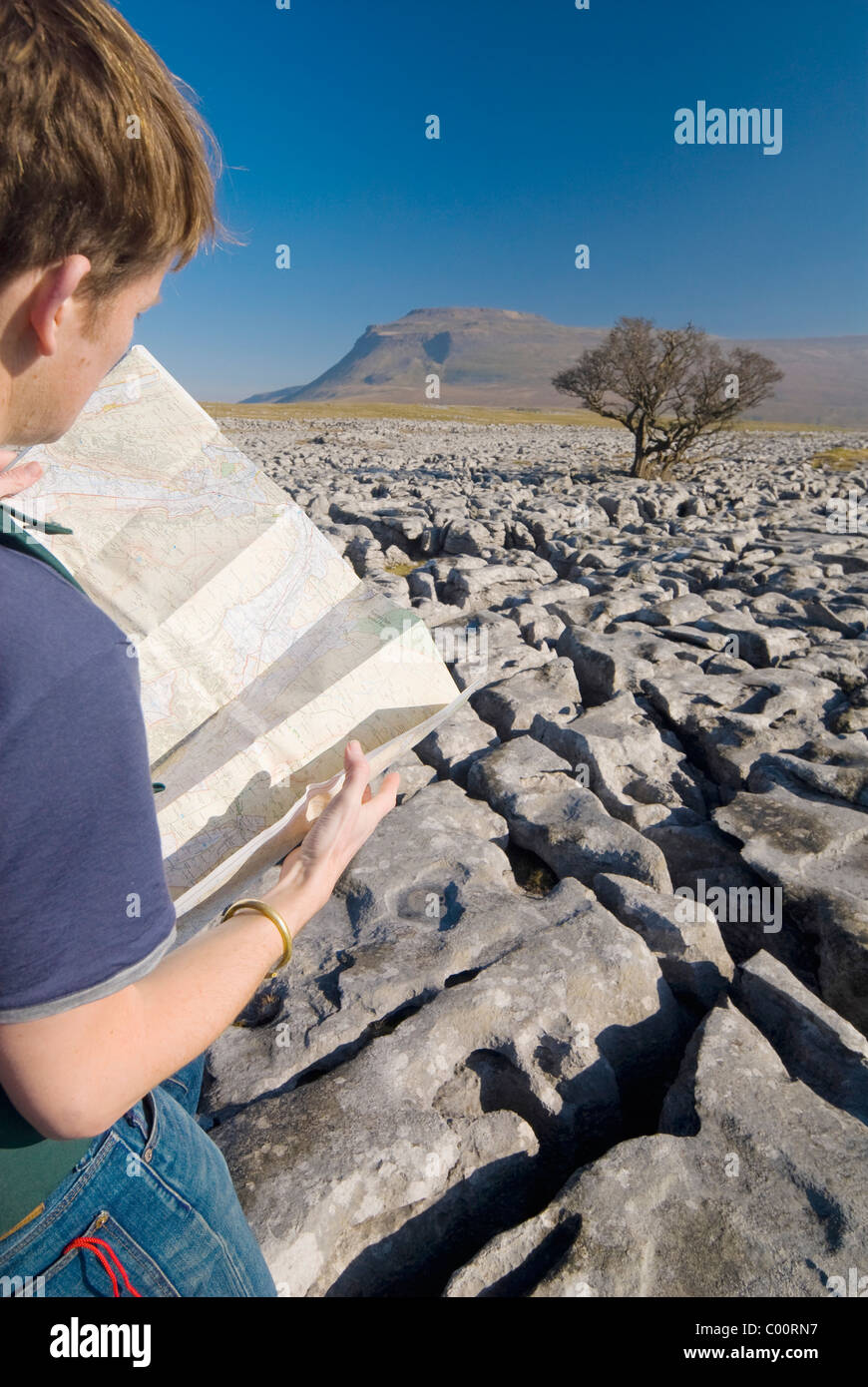 Wanderer mit Karte auf Kalkstein Pflaster Stockfoto