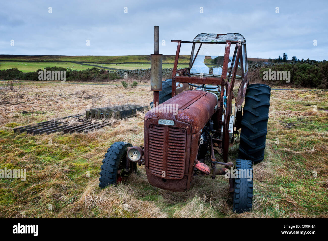 Rusty Ferguson 35-Traktor Stockfoto