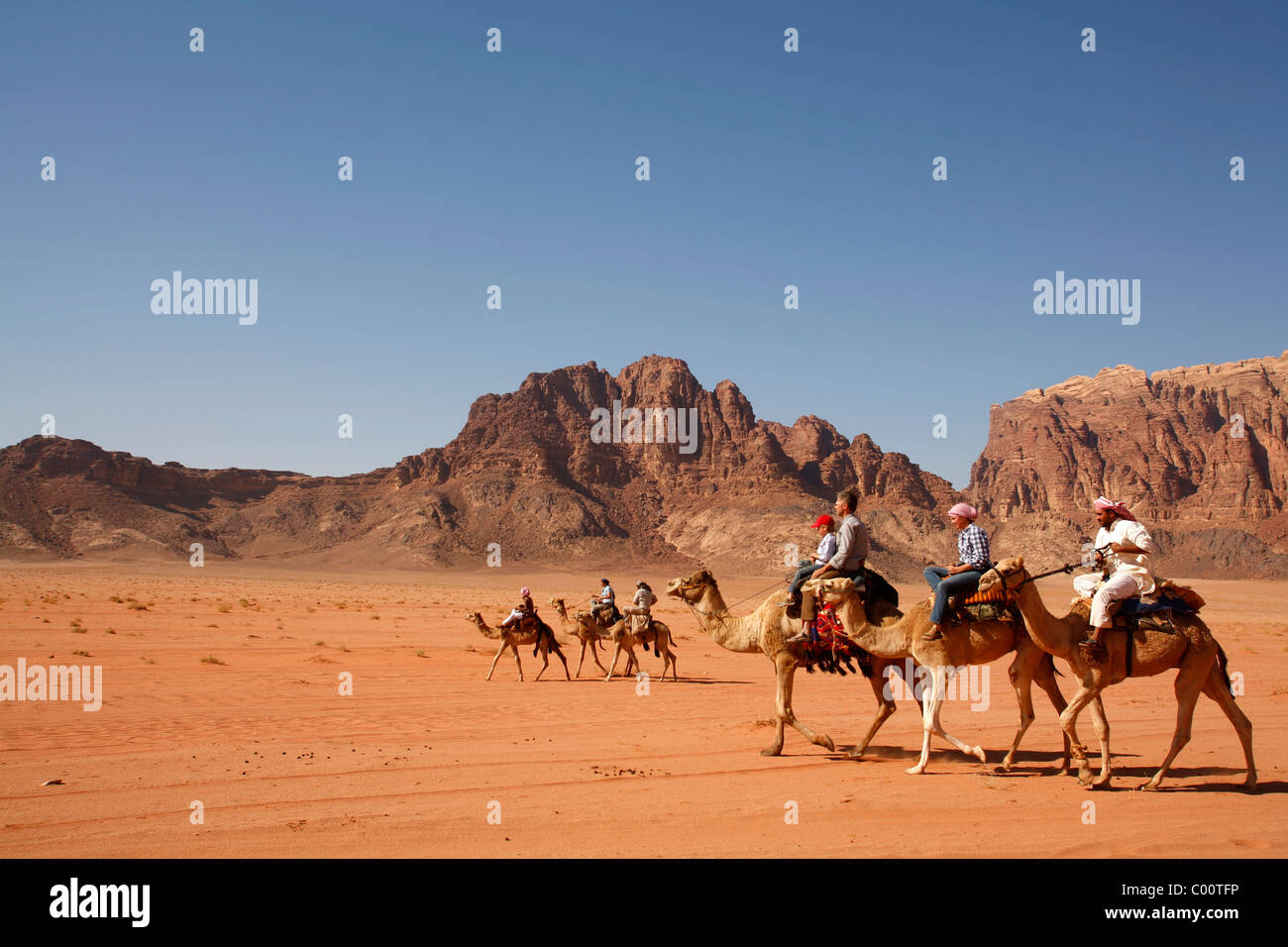 Touristen, Kamelreiten in der Wüste, Wadi Rum, Jordanien. Stockfoto