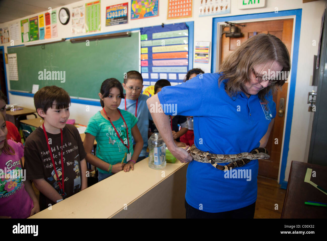 Vierte Klassenlehrer mit Red-Tailed Boa Constrictor Stockfoto