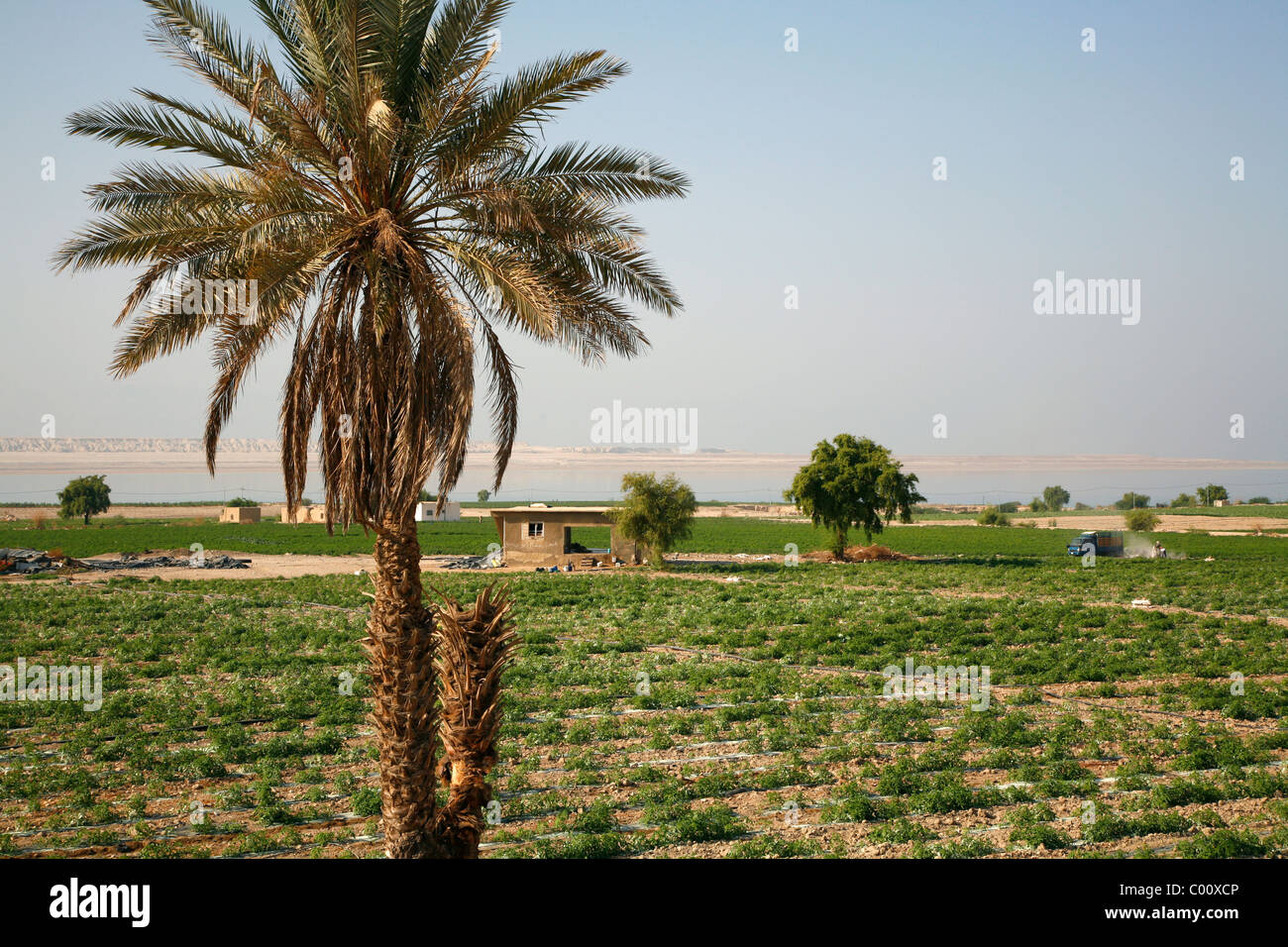 Blick über das fruchtbare Land auf der Lisan-Halbinsel weiter zum Toten Meer, Jordanien. Stockfoto