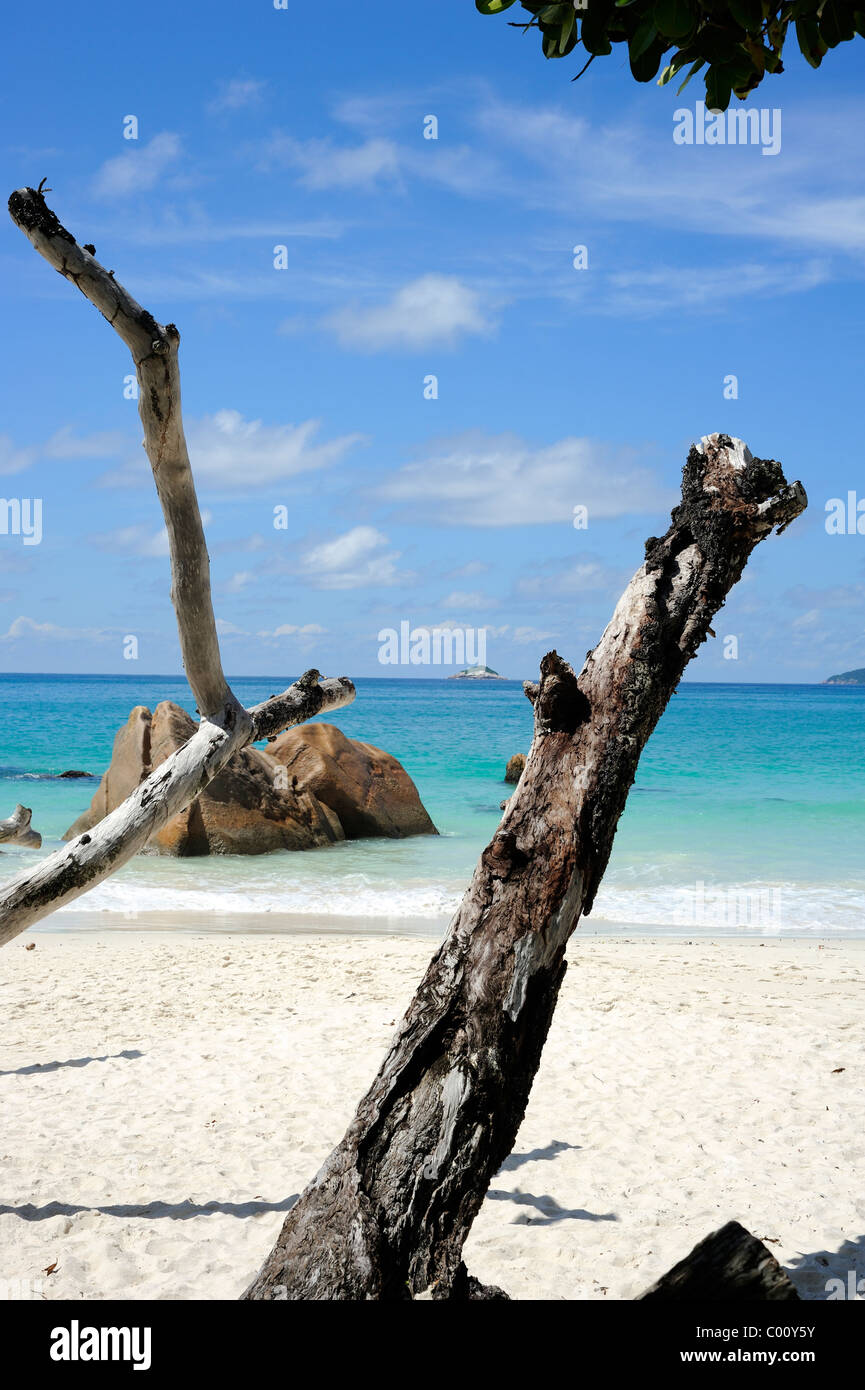 Praslin Island, Seychellen, paradiesischer Anse Lazio Strand, einer der schönsten Strände der Welt Stockfoto