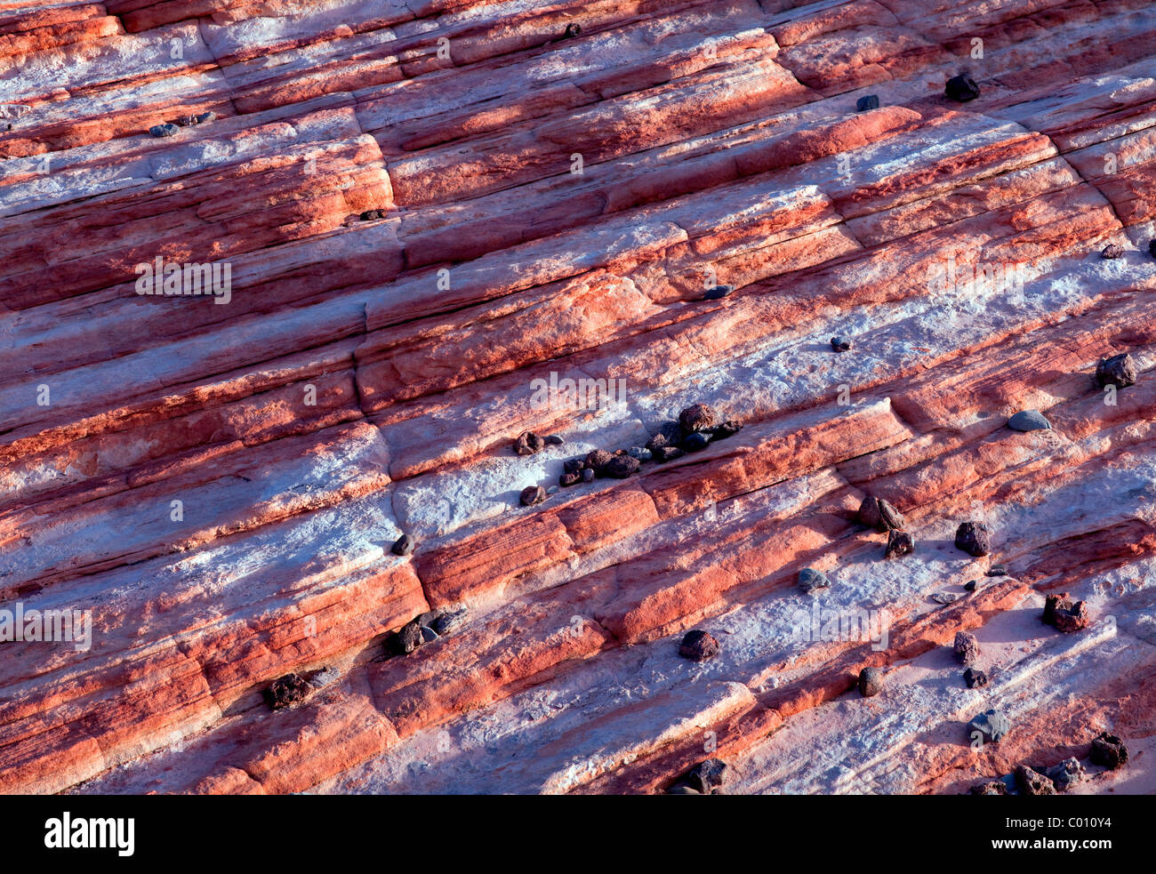 Nahaufnahme des quergestreiften Felsen. Valley of Fire State Park, Nevada Stockfoto