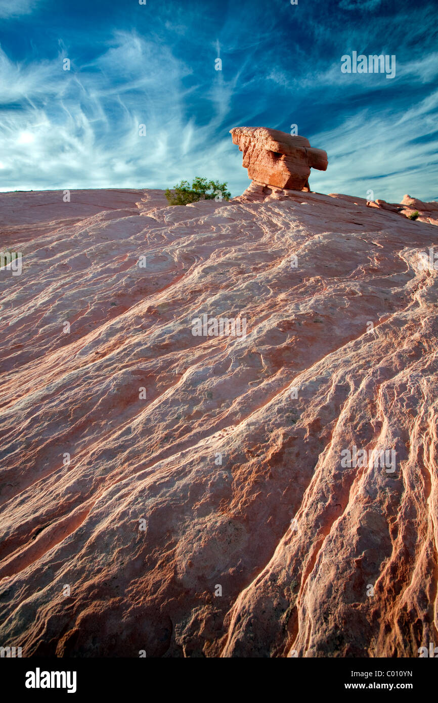 Einsamer Fels. Valley of Fire State Park, Nevada Stockfoto