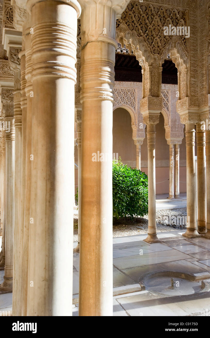 Patio de Los Leones, Alhambra, Granada, Andalusien, Spanien, Europa Stockfoto